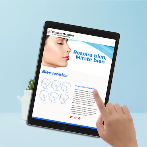 Diseño de página web profesional