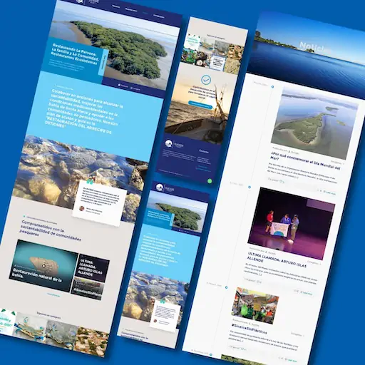 Sitio web