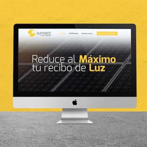 Diseño web profesional México