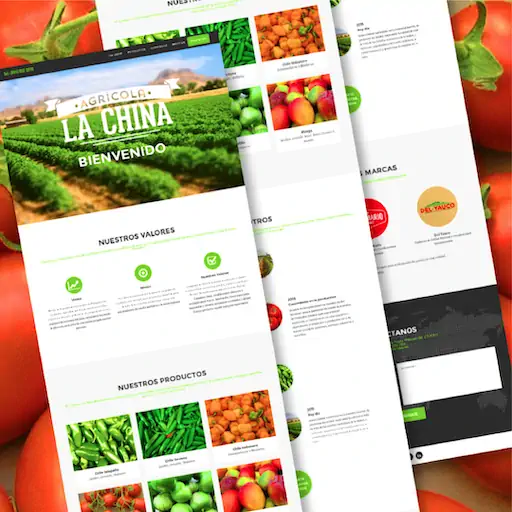 Diseño web con WordPress
