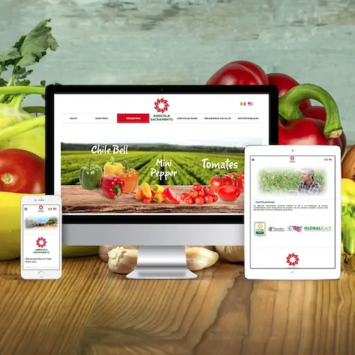 Diseño de página web empresa