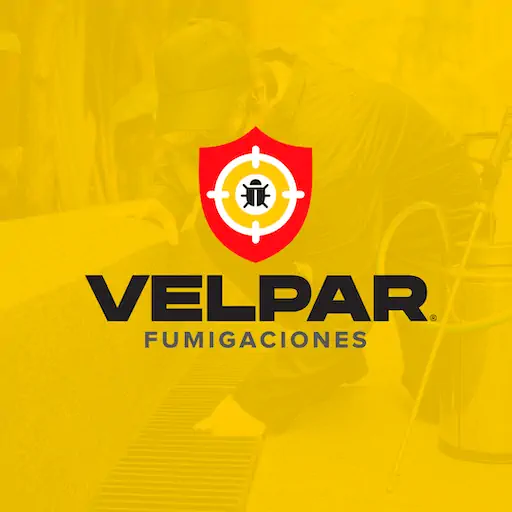 Logotipo Velpar sobre amarillo – diseño de SmartBrand360